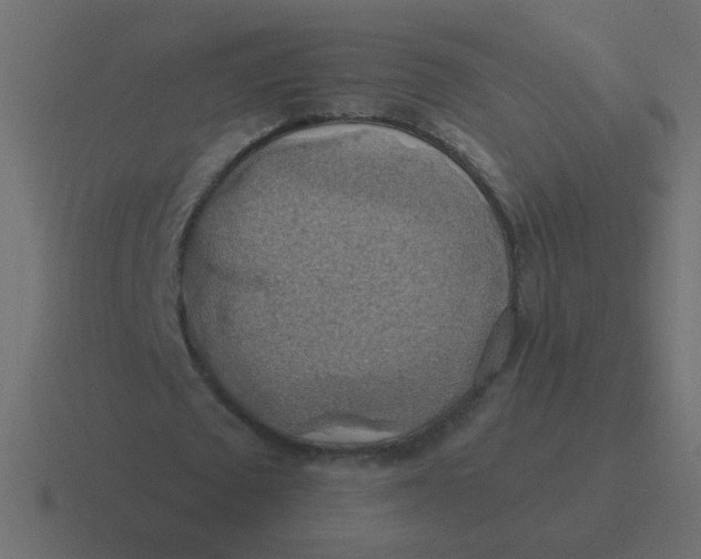 X0000116490673200912292106