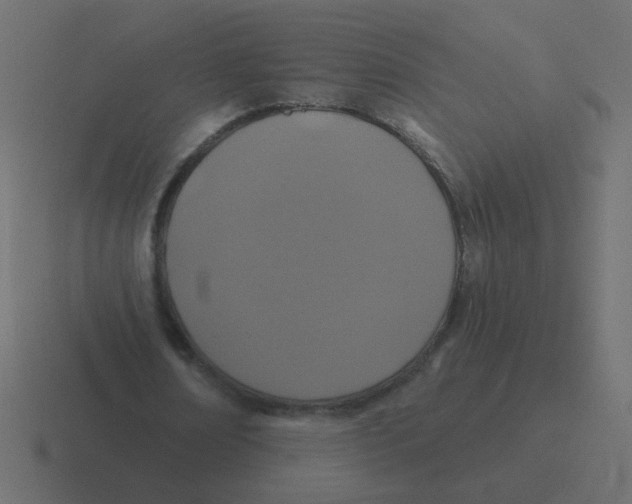 X0000116490674200912292106