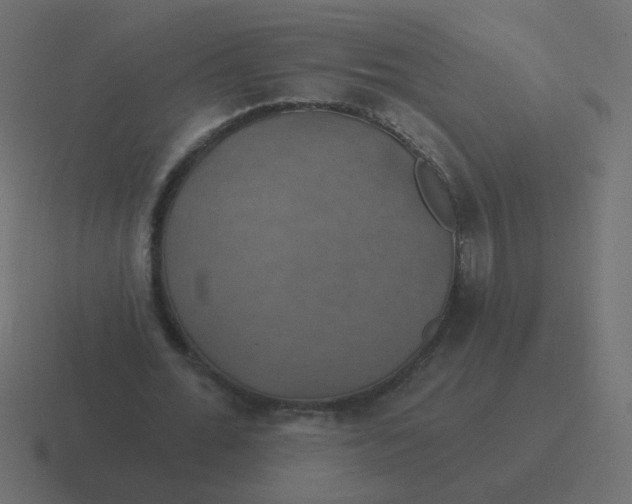 X0000116490676200912292106