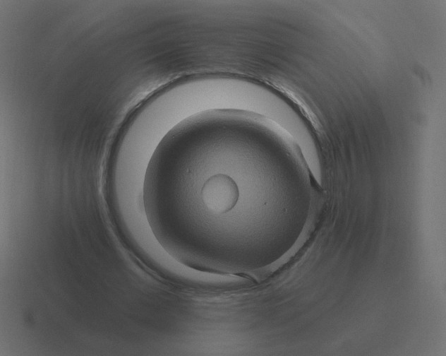 X0000116490677200912292106