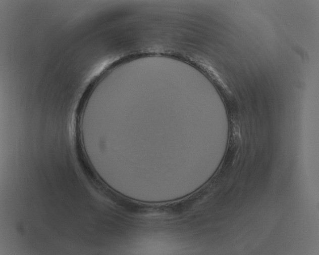 X0000116490678200912292106