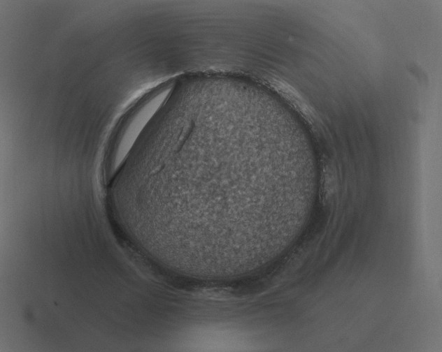 X0000116490680200912292106