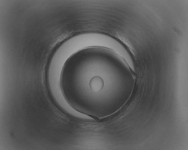 X0000116490681200912292106