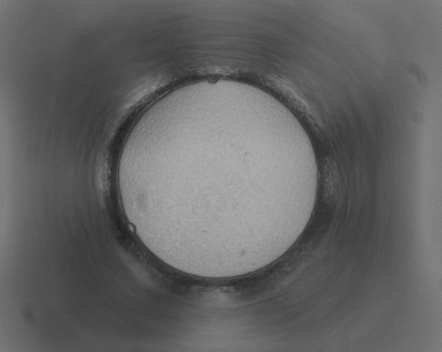 X0000116490683200912292106