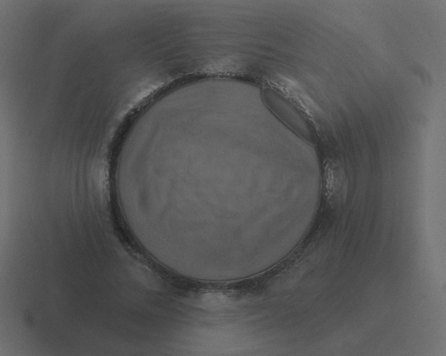 X0000116490684200912292106