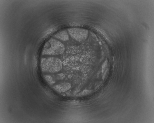 X0000116490687200912292106