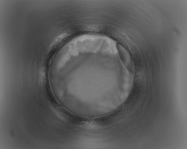 X0000116490688200912292106