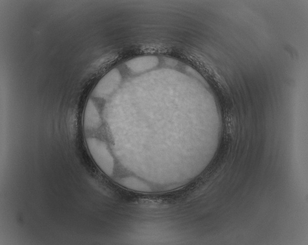 X0000116490690200912292106