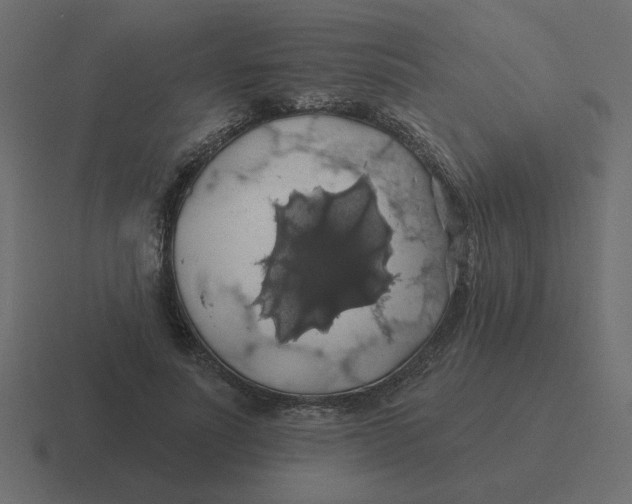 X0000116490691200912292106