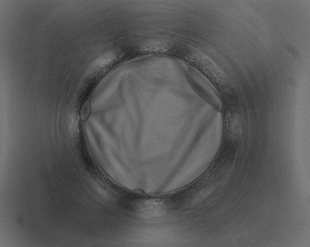 X0000116490692200912292106