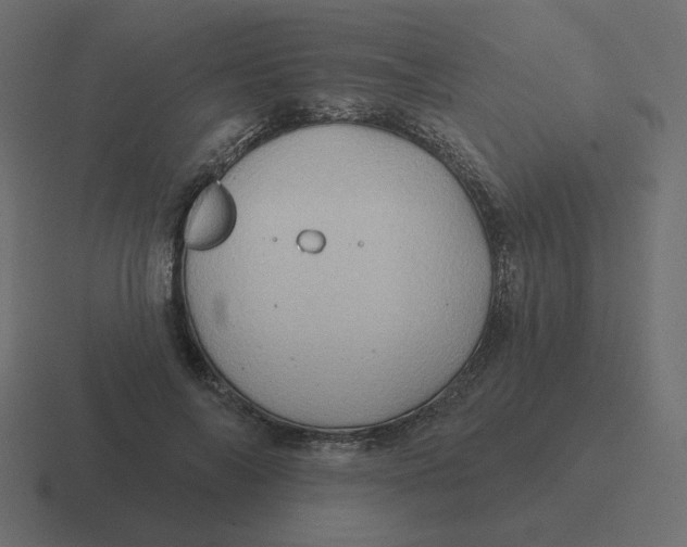 X0000116490694200912292106