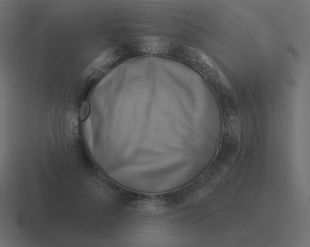 X0000116490696200912292106