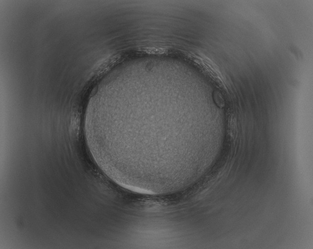 X0000116490697200912292106