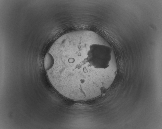 X0000116490699200912292106