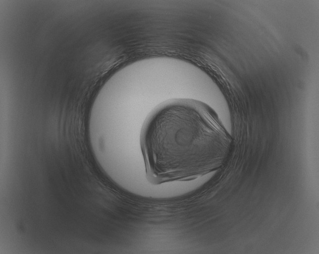 X0000116490700200912292105