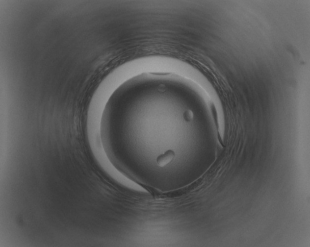 X0000116490701200912292105