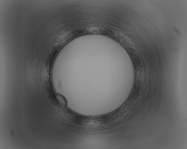 X0000116490702200912292105