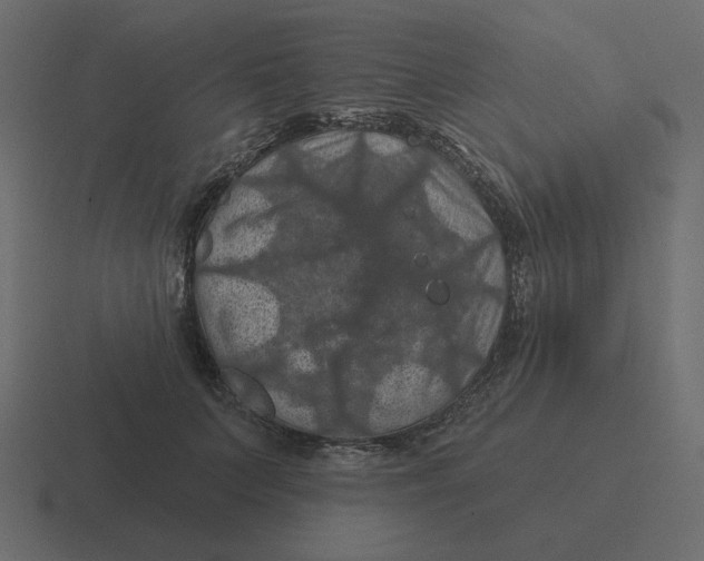 X0000116490703200912292105