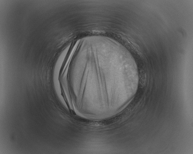 X0000116490704200912292105