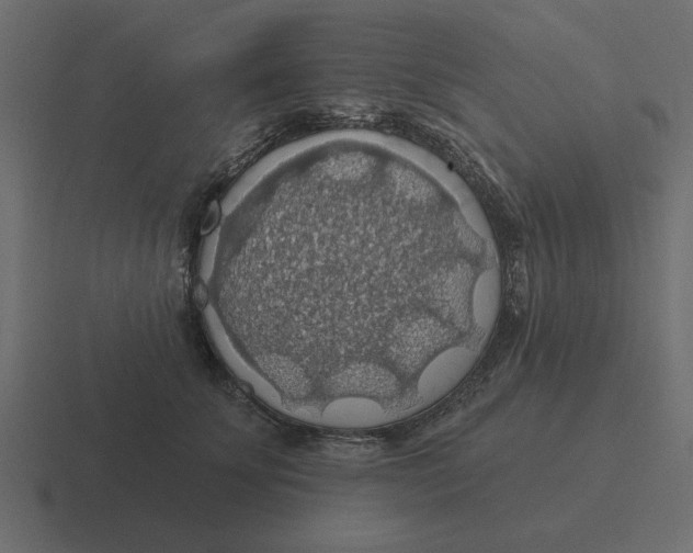 X0000116490707200912292105