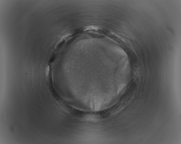 X0000116490708200912292105