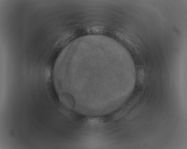 X0000116490709200912292105