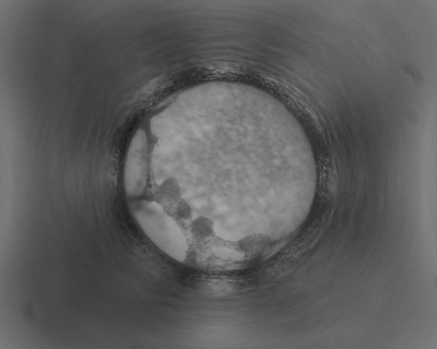 X0000116490710200912292105