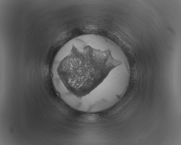 X0000116490711200912292105