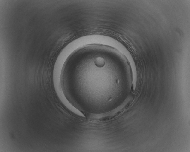 X0000116490713200912292105