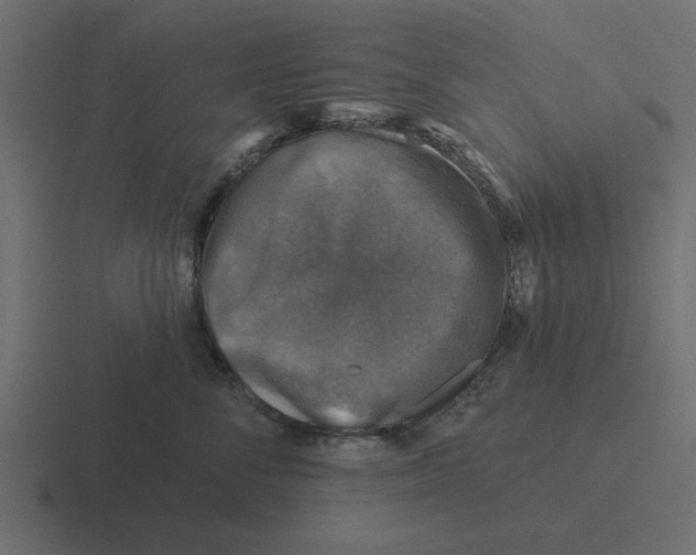 X0000116490716200912292105