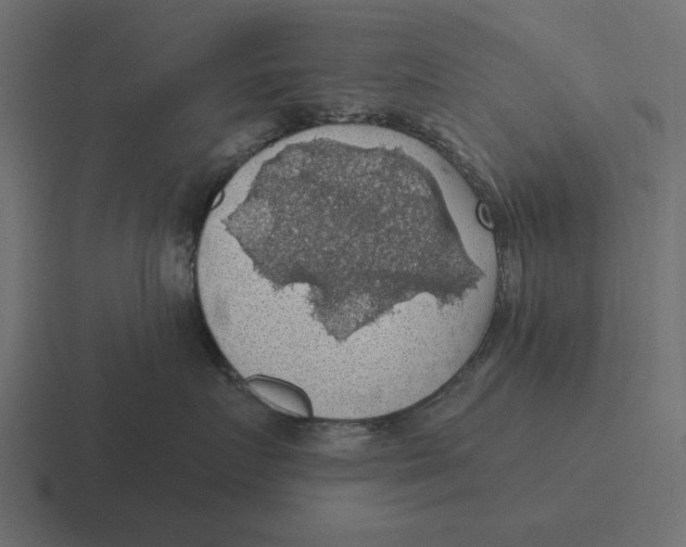 X0000116490719200912292105