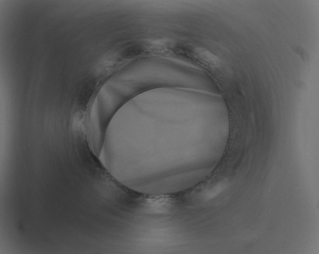 X0000116490720200912292105