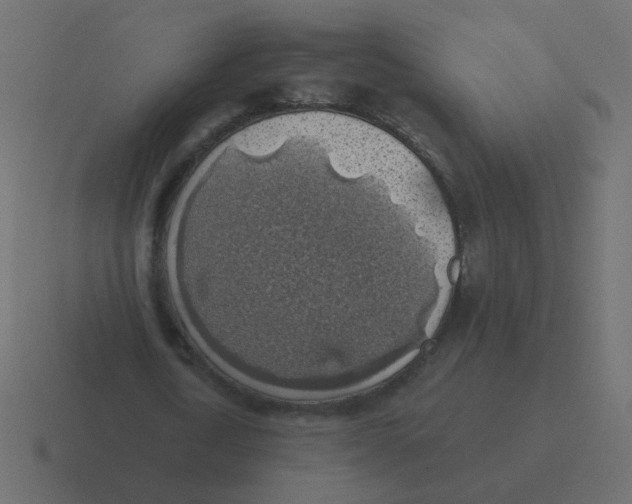 X0000116490722200912292105