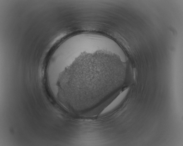 X0000116490723200912292105