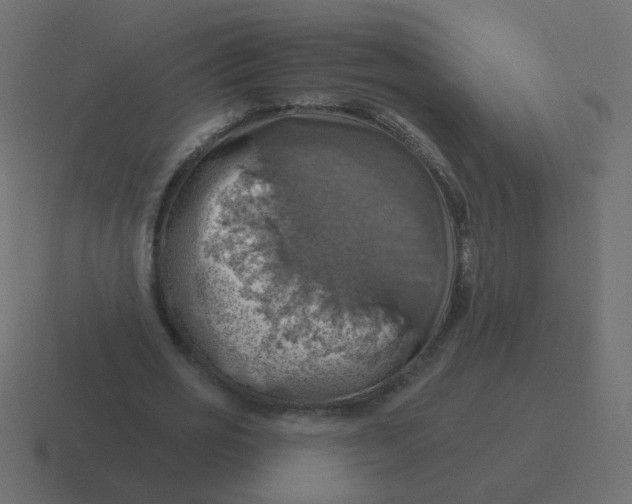 X0000116490725200912292105