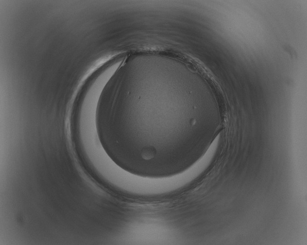 X0000116490726200912292105