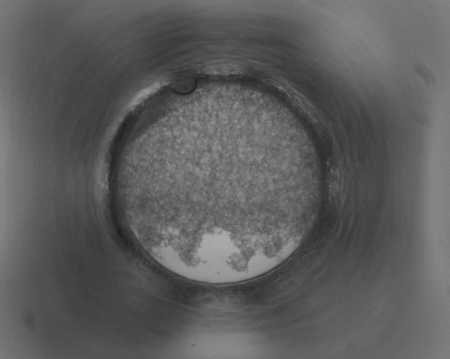 X0000116490727200912292105