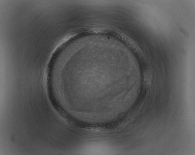 X0000116490730200912292105