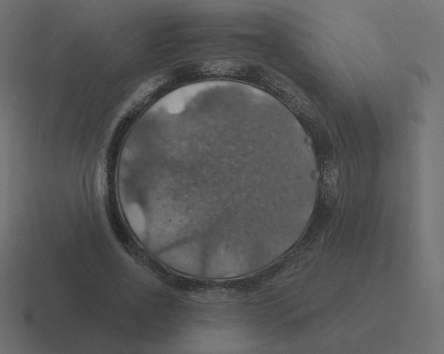 X0000116490734200912292105