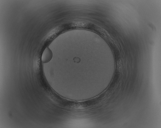 X0000116490735200912292105