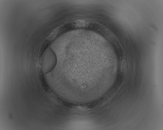 X0000116490737200912292105