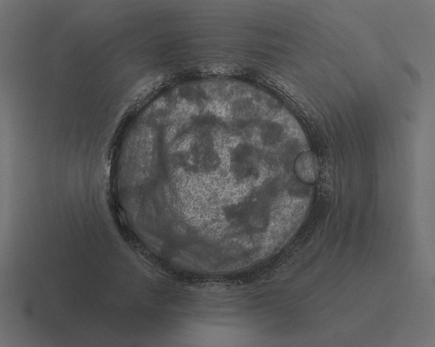 X0000116490738200912292105