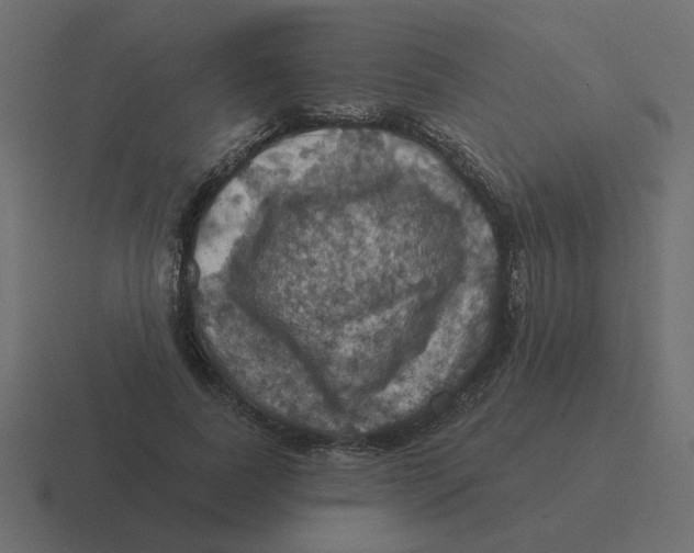 X0000116490739200912292105