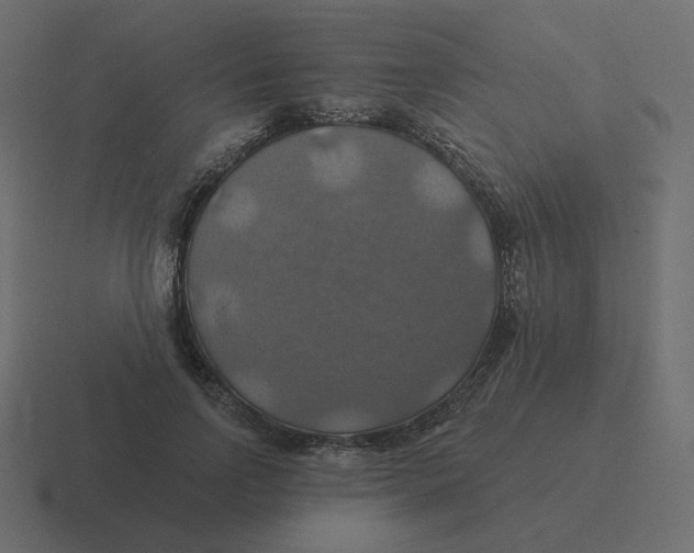 X0000116490742200912292105