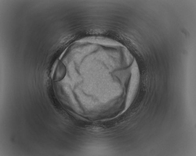 X0000116490743200912292105