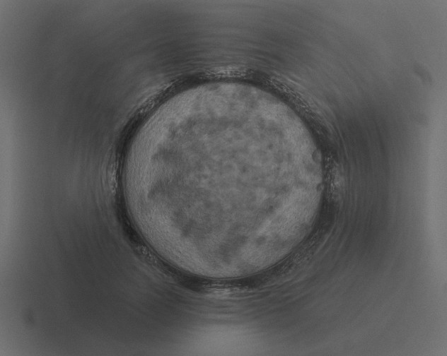 X0000116490746200912292105