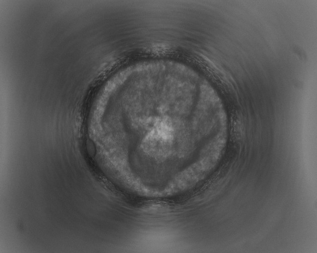 X0000116490750200912292105