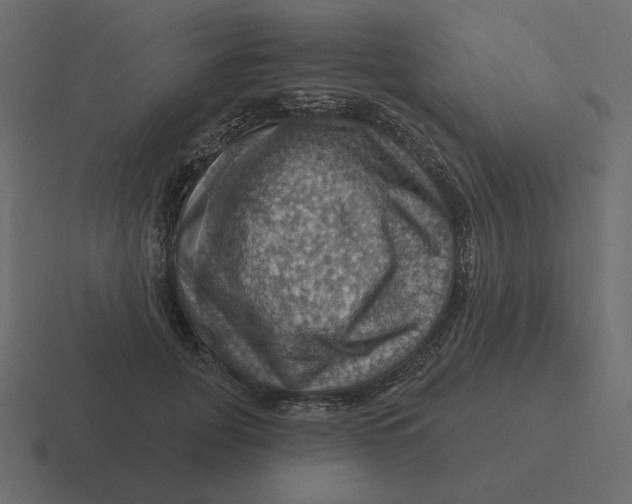 X0000116490751200912292105