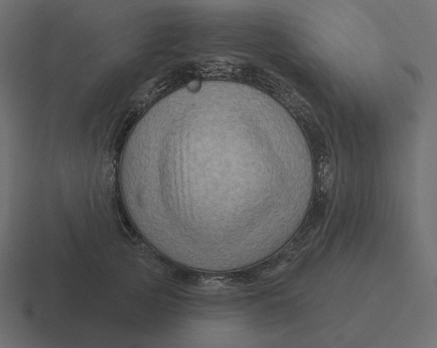 X0000116490753200912292105