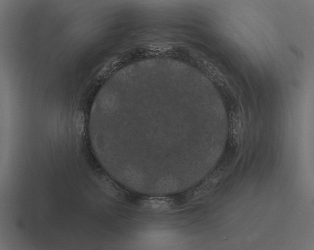 X0000116490758200912292105